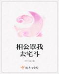 相公我罩你湛亮免费阅读
