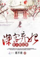 深宫弃妃皇上不过来