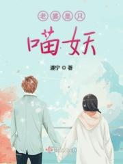 老婆是只仙女喵书包网