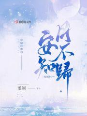 安知月不归