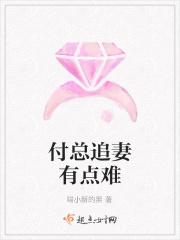付总追妻有点难