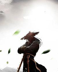 海贼之玄武降临