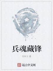 兵魂藏锋